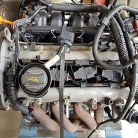 PBL133 Motore VW / Seat / Skoda 1.4b BKY [99/08]