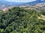 Immagine 13