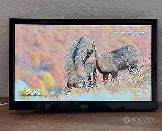 TV LED 19" HD per camper/roulotte 12 volt