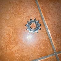 Pignone 11 Passo 420 AM6