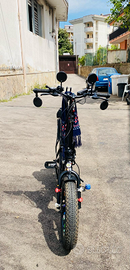 Bicicletta elettrica