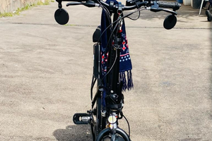 Bicicletta elettrica