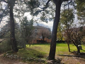 Oasi Verde e Indipendenza nel Cuore di Filottrano