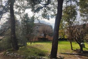 Oasi Verde e Indipendenza nel Cuore di Filottrano