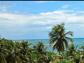 Vendita casa sulla spiaggia di Caraúbas,RN-Brasile