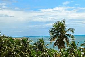 Vendita casa sulla spiaggia di Caraúbas,RN-Brasile