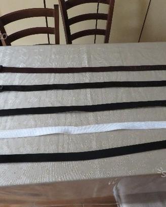 Levi's , Avirex , GAS , Calvin Klein cinte uomo