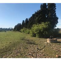 Terreno agricolo di mq 12500 edificabile