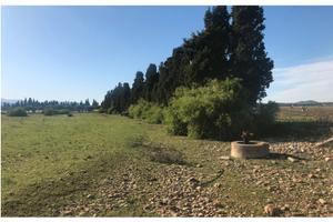 Terreno agricolo di mq 12500 edificabile