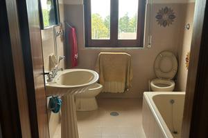 Villetta immersa nel verde