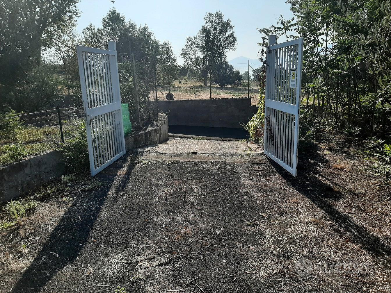 Splendido terreno agricolo di 1600 mq a Trecase - Vista 2