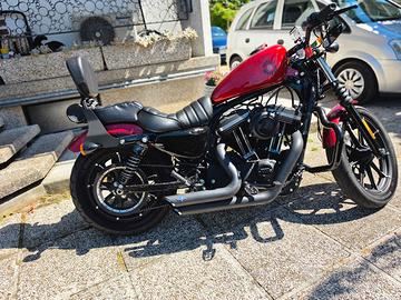 harley davidson 883