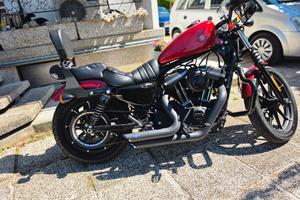 harley davidson 883