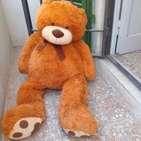Orso peluche