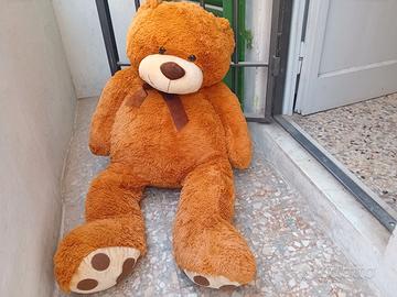 Orso peluche