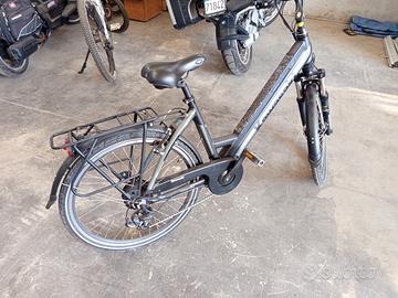 bici pedalata assistita Kawasaki 