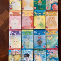 Proteggi la mia terra Manga 1a edizione