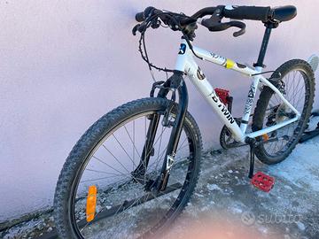 Bici ruote da 24