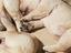 Immagine 6
