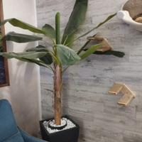 Arredo interno o esterno