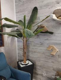 Arredo interno o esterno