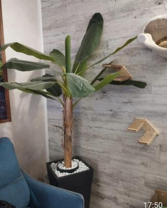 Arredo interno o esterno