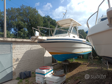 Rio fish 700 Volvo penta