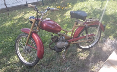 Benelli " Export Lusso "