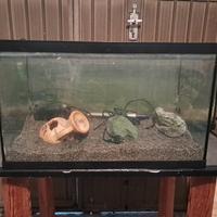 acquario 90 litri  completo di accessori