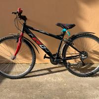 Bici ragazzo ruota 26