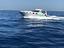 Immagine 6