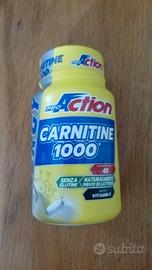 carnitine 1000