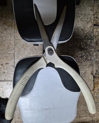 Taglia siepi manuale