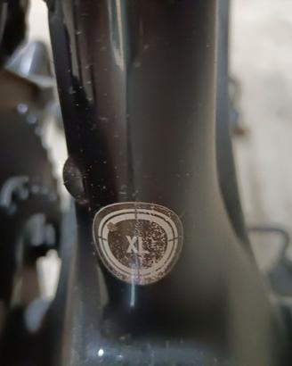 Wilier 110 pro