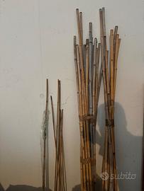 Pali bamboo pomodori