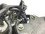 Immagine 7