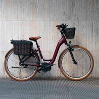 Riese & Muller Swing - bici elettrica città