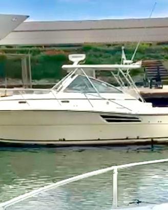 FISHERMAN PURSUIT 34  EXPRESS PRONTO ALLA BOA