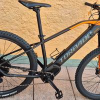 bicicletta elettrica 