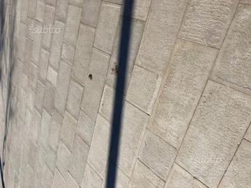 Basole cm 27 a correre