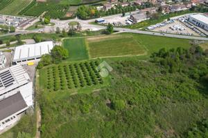 TERRENO A CORNELIANO D'ALBA