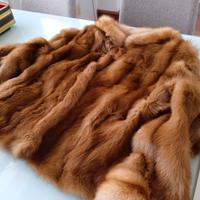 splendida pelliccia di zibellino miele 