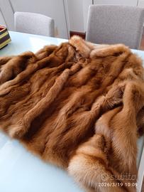 splendida pelliccia di zibellino miele 