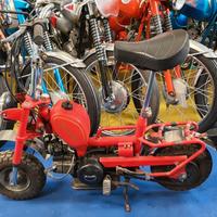 Benelli 50 City Bike