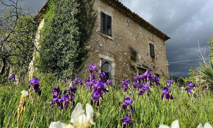 CASA DI CORTE A VEROLI