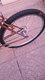 bici uomo