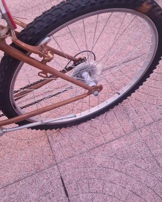 bici uomo