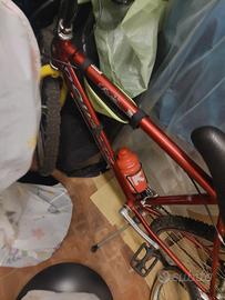 Due bici a 60 euro l'una Duglas e Atlas 