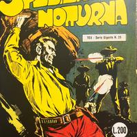 Tex 1/29 N. 25 Spedizione notturna