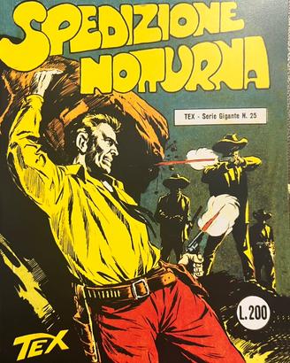 Tex 1/29 N. 25 Spedizione notturna